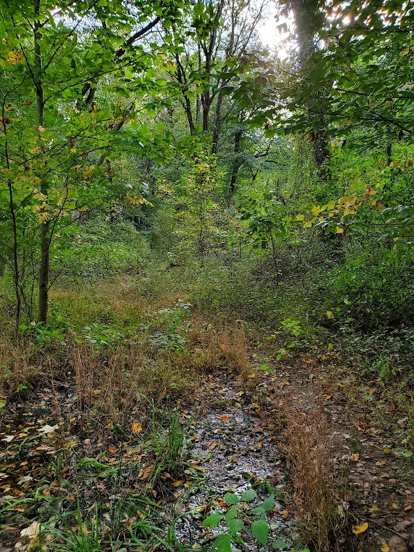 Susan Stevens Halbe Preserve