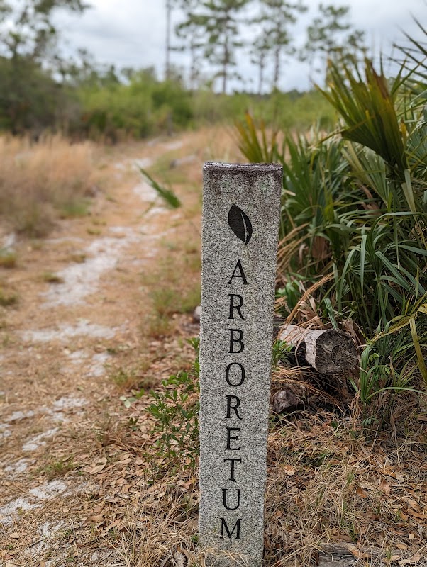 UCF Arboretum Natural Lands