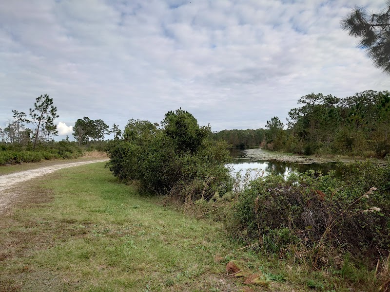 UCF Arboretum Natural Lands