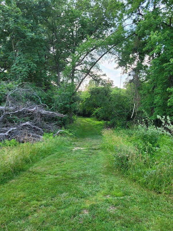 Collman Meadow Trail