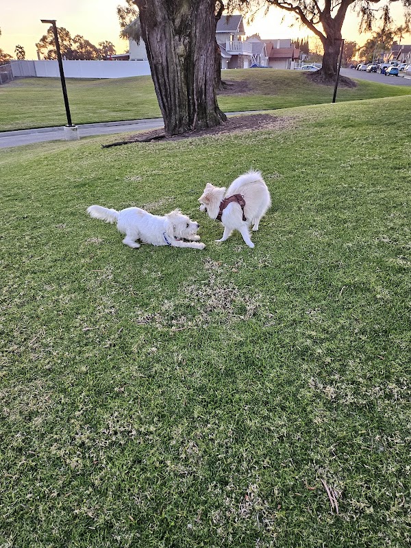 Rancho Del Rey Park North