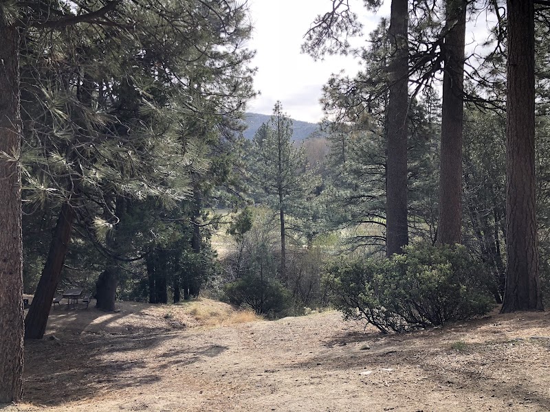 Idyllwild Regional Park