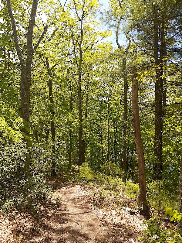 Forge Pond Conservation Area