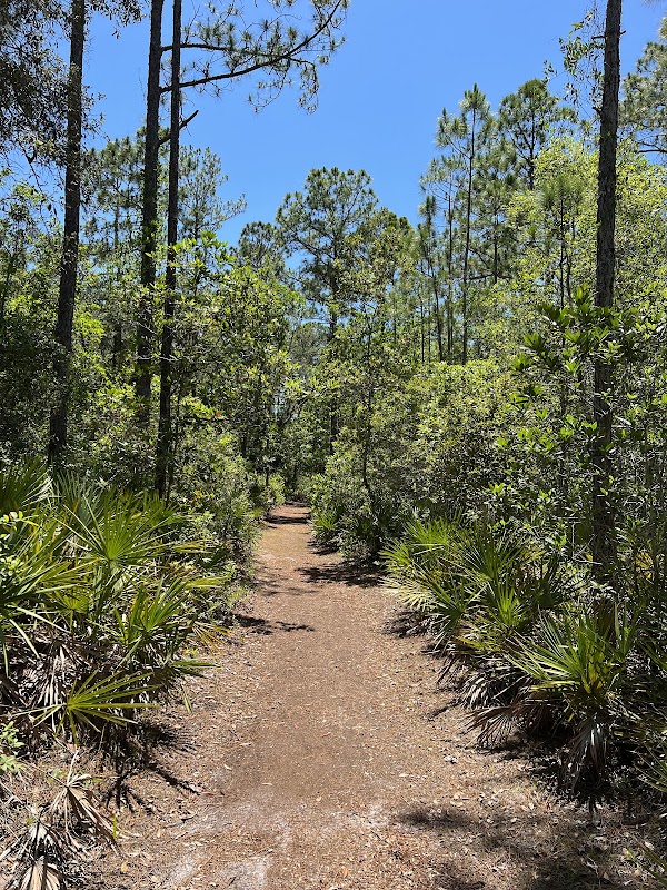 Brooker Creek Preserve & Environmental Education Center