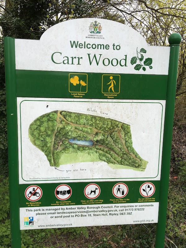 Carr Wood