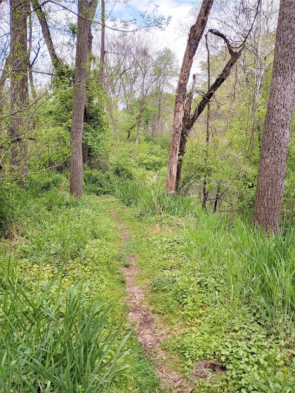 Mill Race Trail