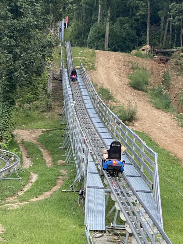 Goats on the Roof of the Smoky Mountains