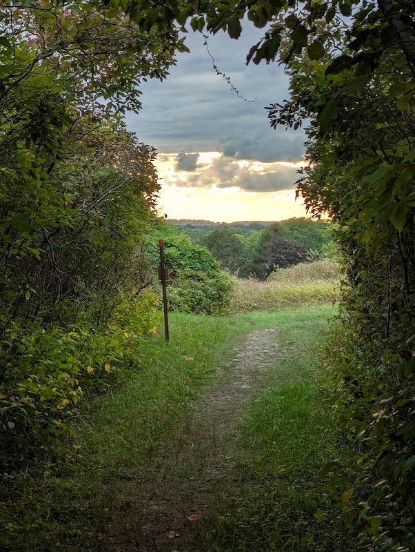 Horizon Hill Conservation Area