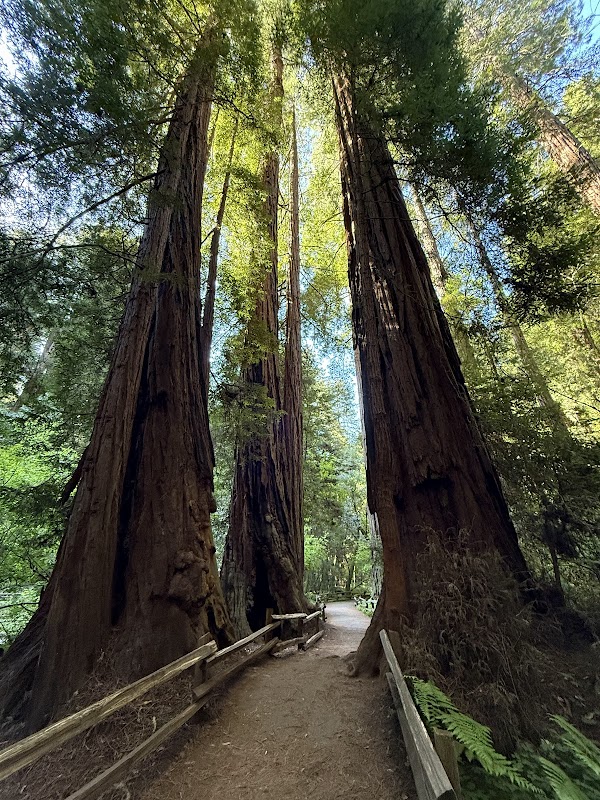 Canopy View to Lost Creek to Fern Creek Trails Loop