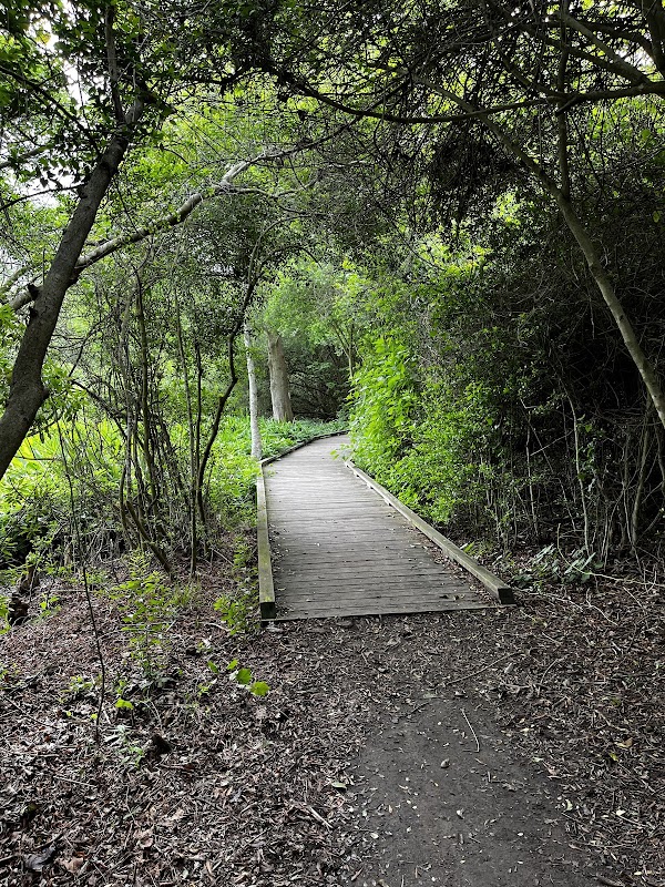 Pine Brook South Wetlands