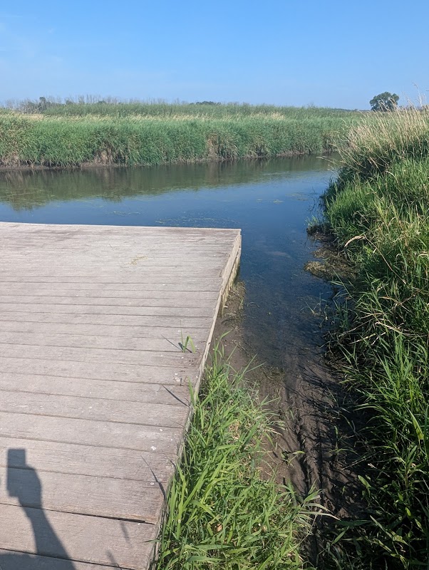 Mitchell Park Kayak Launch