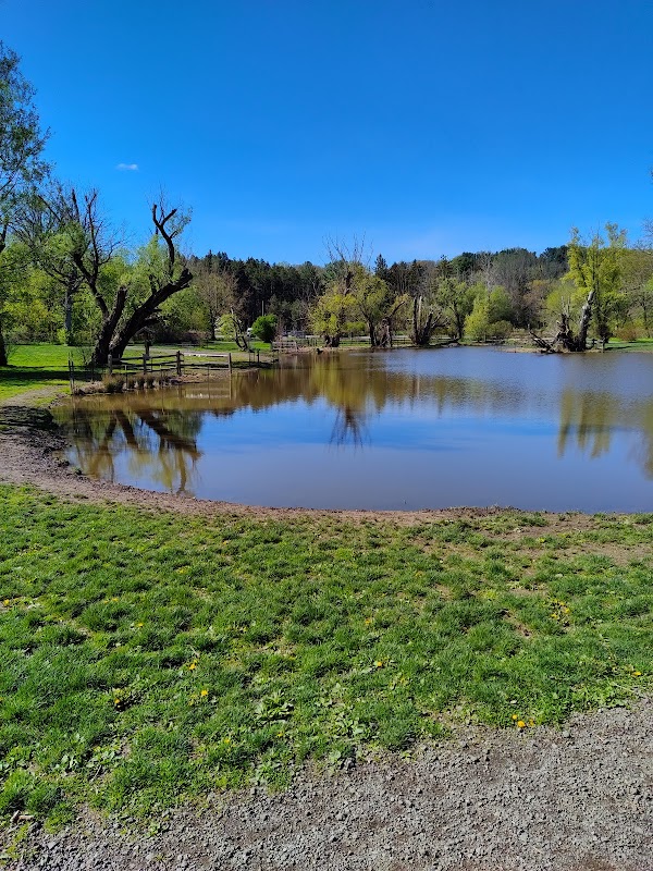 Ellison Dog Park
