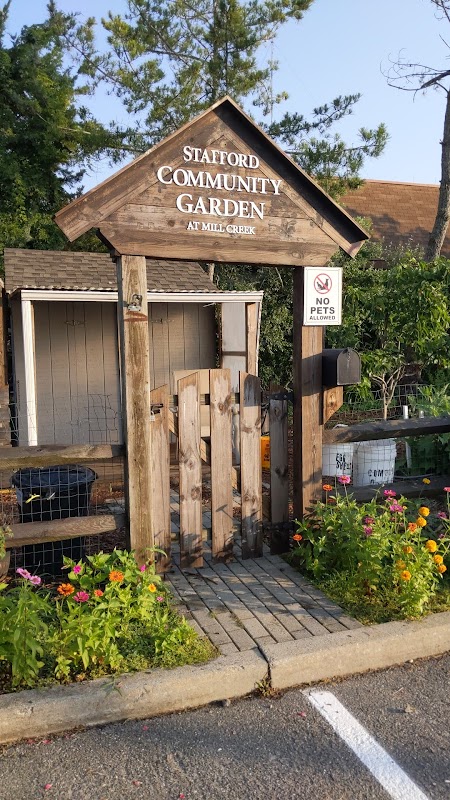Stafford community garden