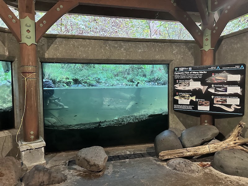 Underwater Fish Viewing Chamber