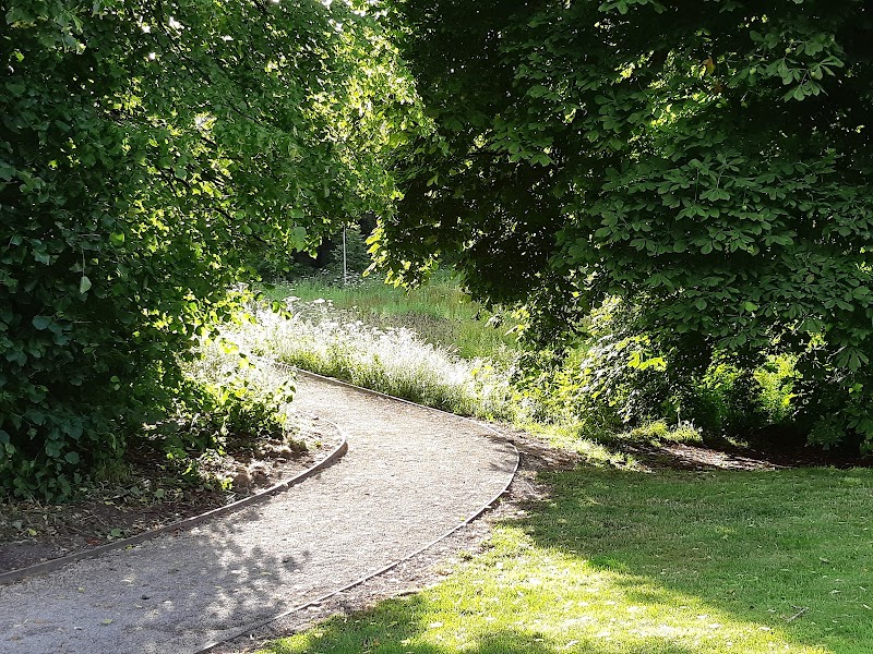 Bollin Meadow Grassland