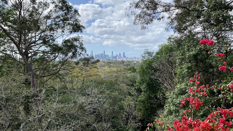 Mt Coot-tha Botanical Gardens Lookout