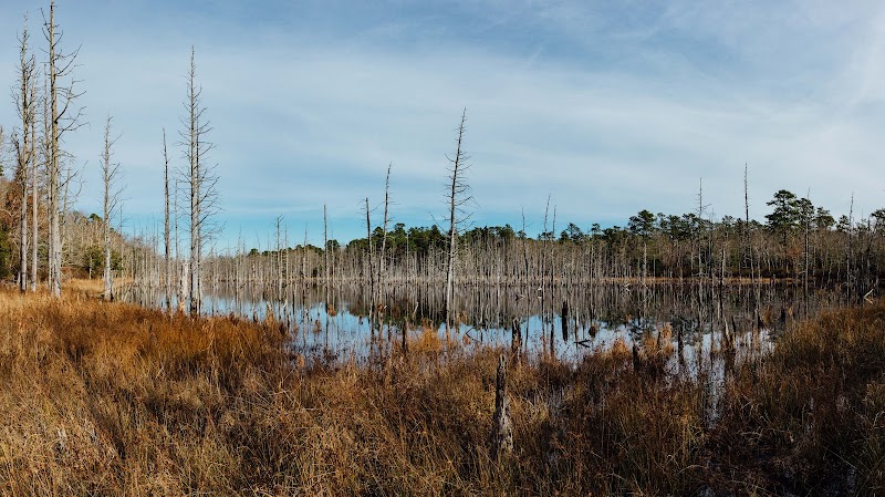 Ballanger Creek Habitat Enhancement Site