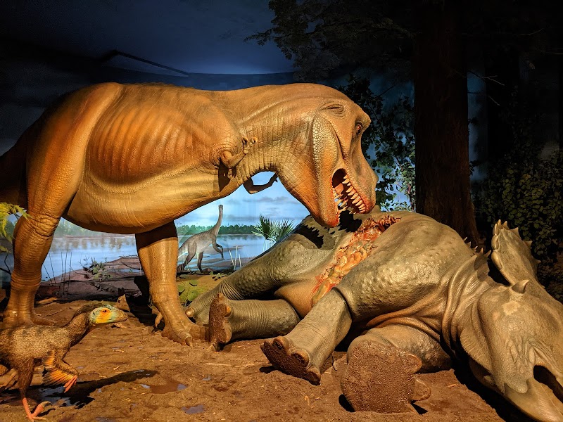 Milwaukee Public Museum