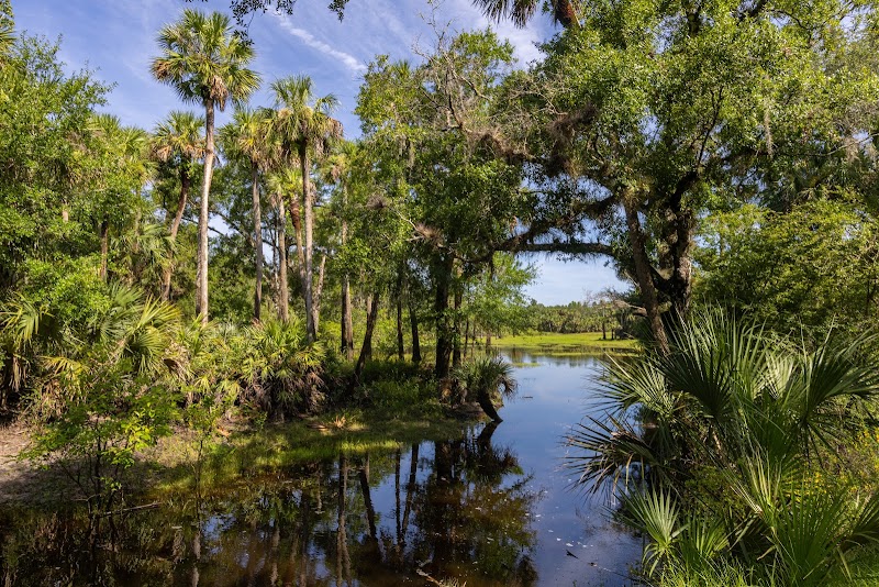 Little Big Econ State Forest