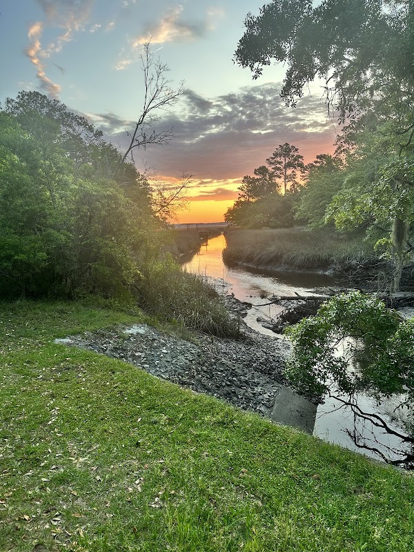 Grove Point Road- Wildlife Crossing