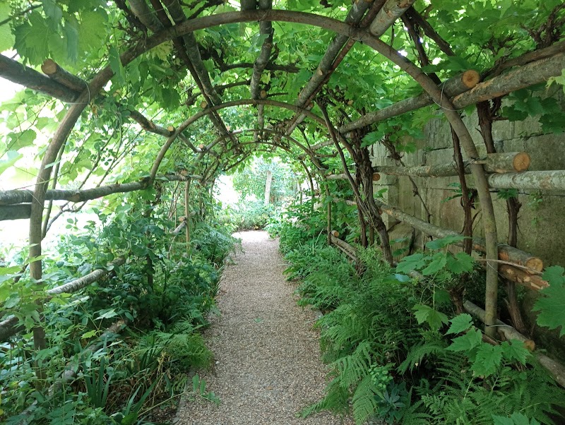 Queen Eleanor's Garden