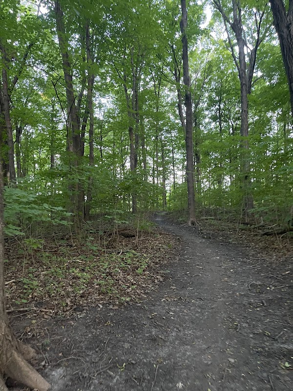 Weaver Lake Trail Head