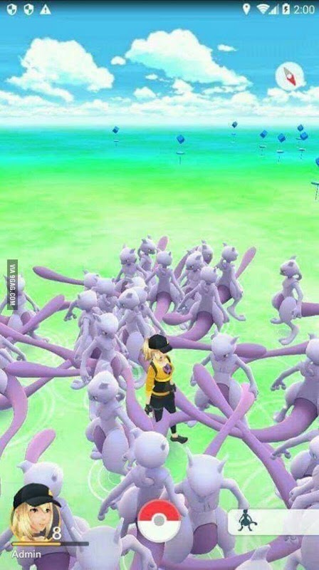 Bird Island Living Breakwater