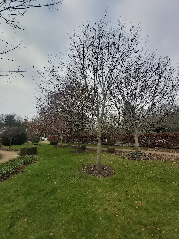Hampden Park Arboretum and History Garden