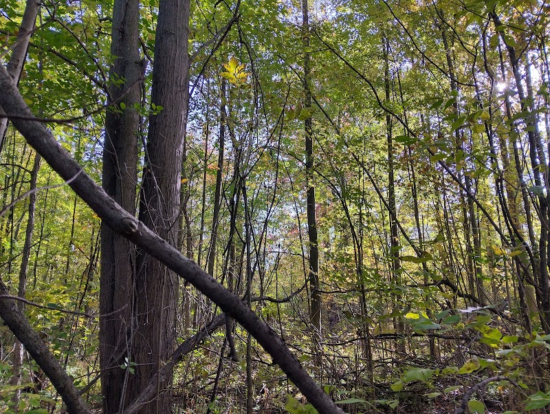 Chesterfield Nature Preserve