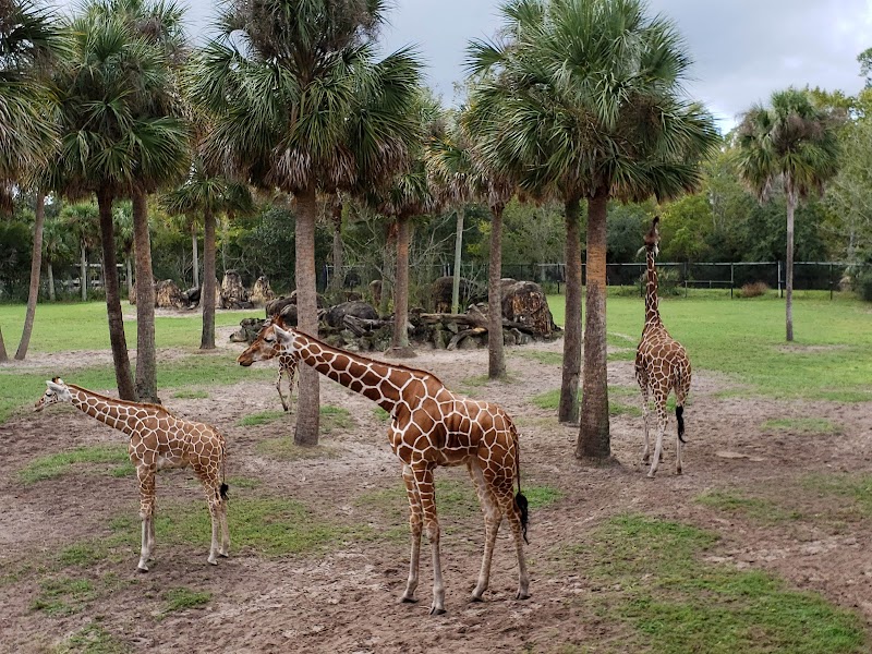 Jacksonville Zoo and Botanical Gardens