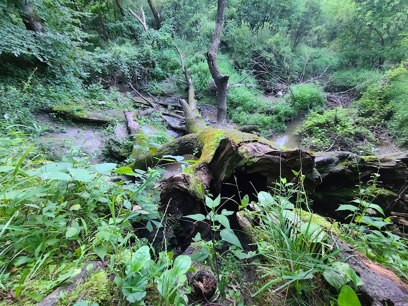 Hickory Hill Park East Entrance