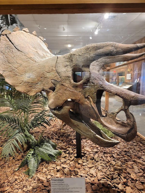 Brazosport Museum of Natural Science