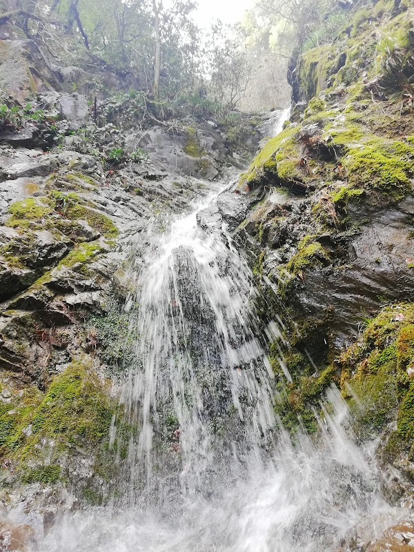 清龍寺滝