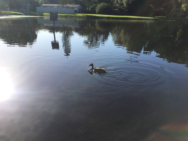 Lake Villa Park