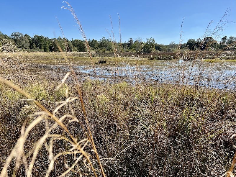 Rhodine Scrub Preserve and Trails