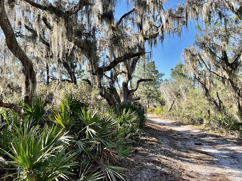 Rhodine Scrub Preserve and Trails