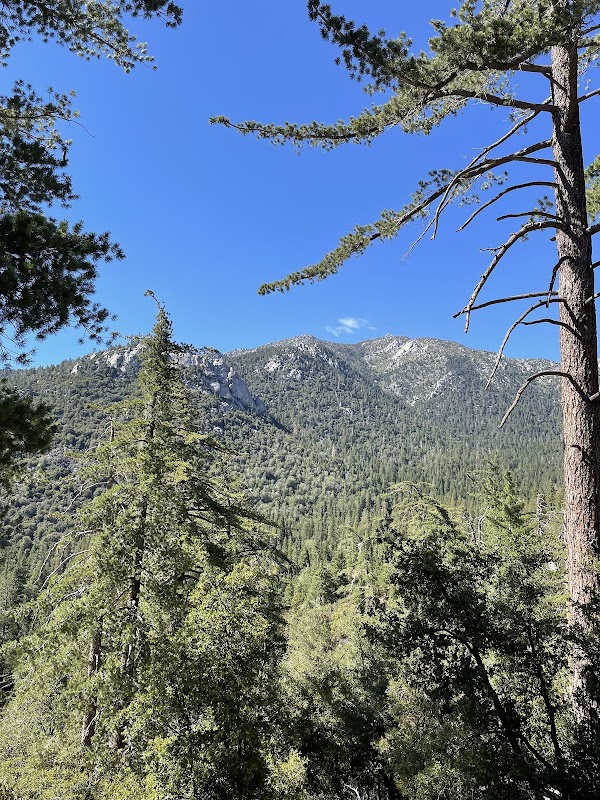 Ernie Maxwell Scenic Trail 3E07