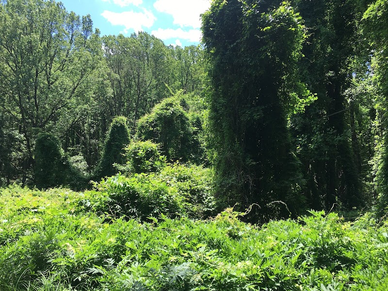 Parklawn Community Garden