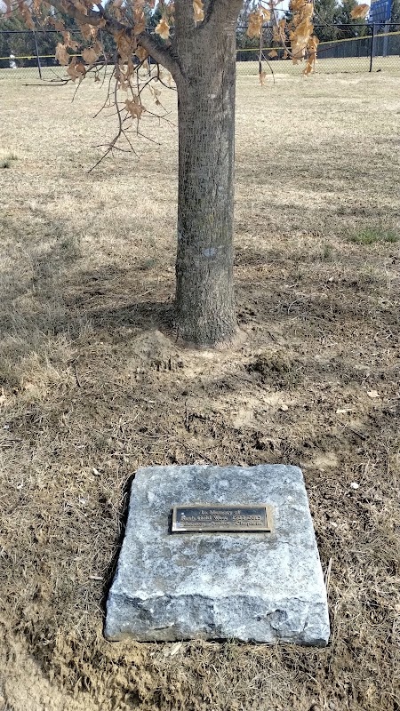 Ruth Gold West Memorial Tree