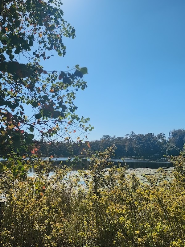 Morning Side Park