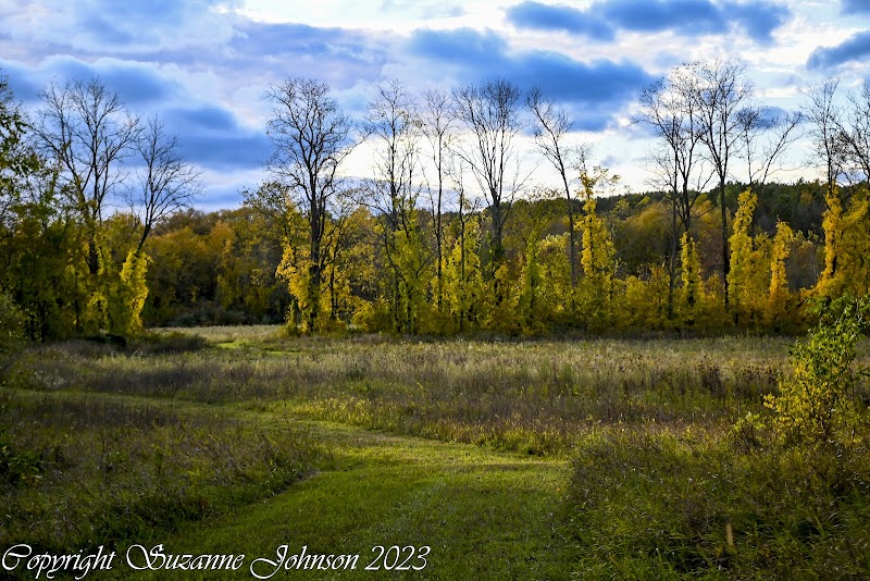 Stony Creek Ravine Nature Park