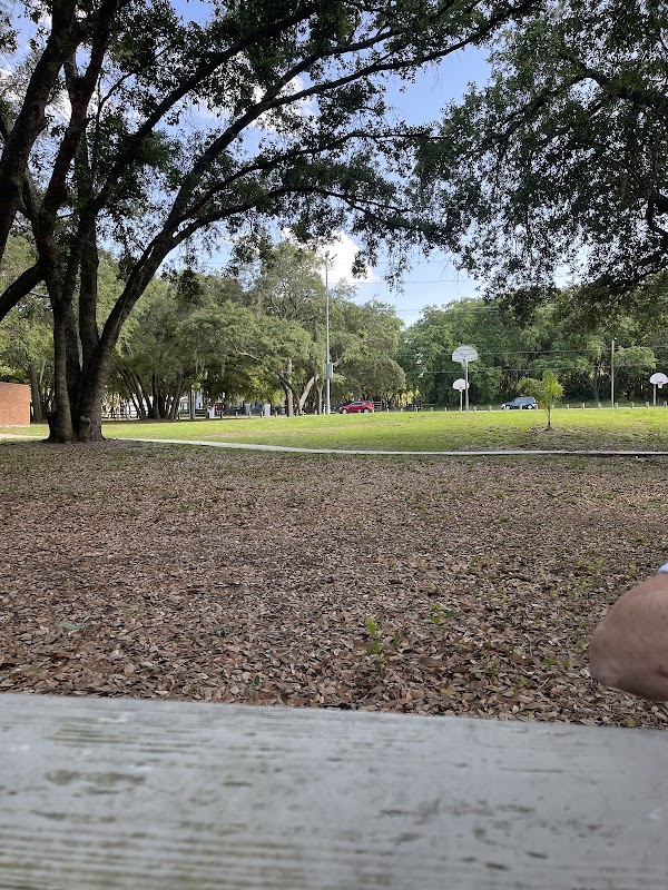 Thonotosassa Main Street Park