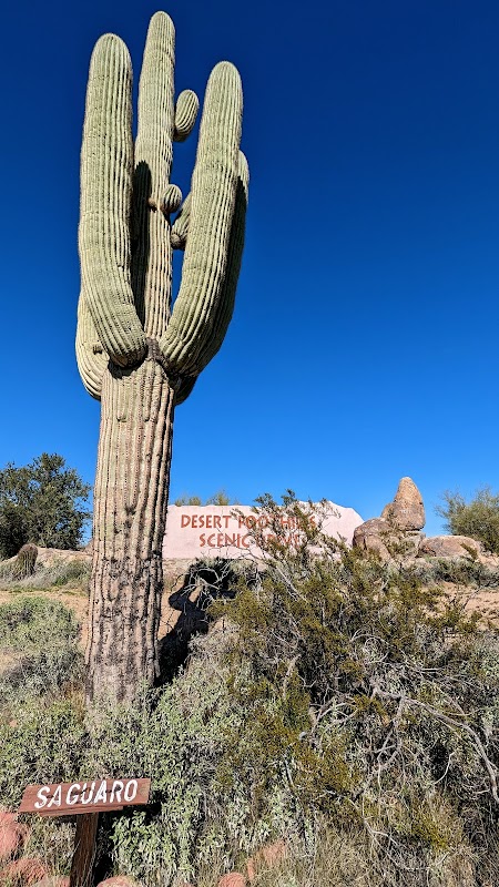 Desert Foothills Scenic Drive