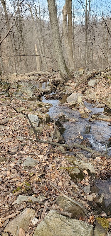 Robert A. Kinsley Nature Preserve