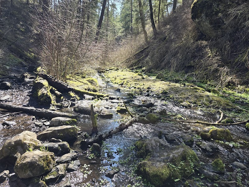 Indian Canyon Natural Area