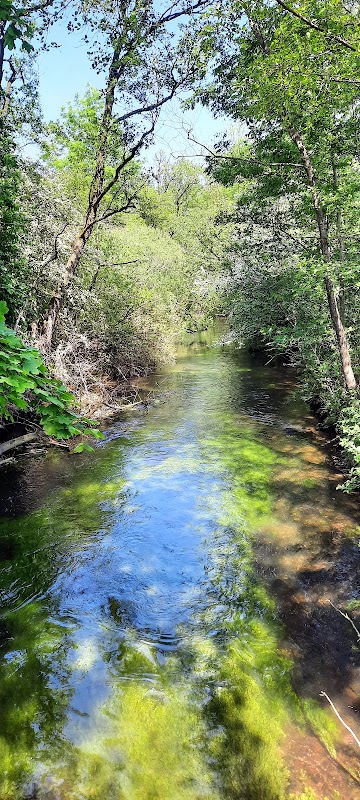 Renaturierung der Moosach