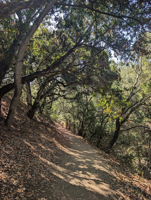 Dry Creek Trail