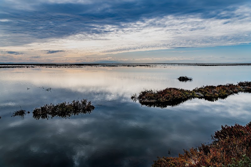 San Pablo Bay National Wildlife Refuge