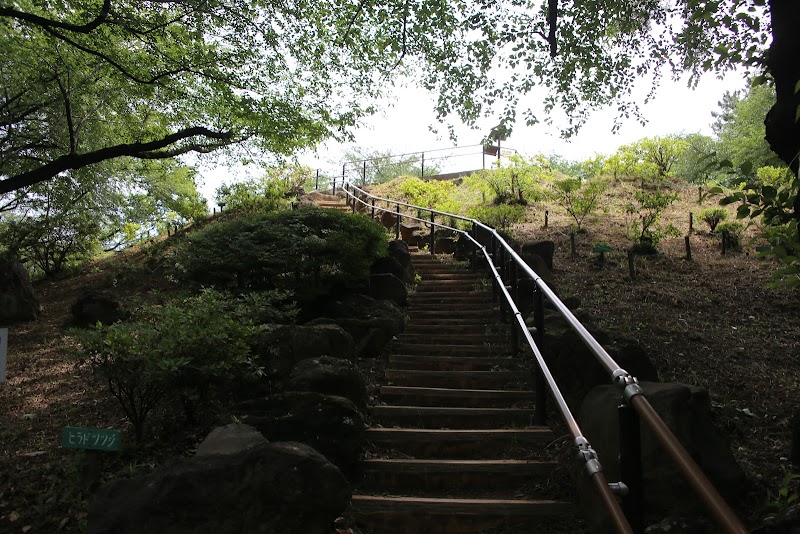 Mount Hakone (Hakone-yama)