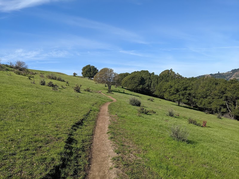 King Estate Open Space Park